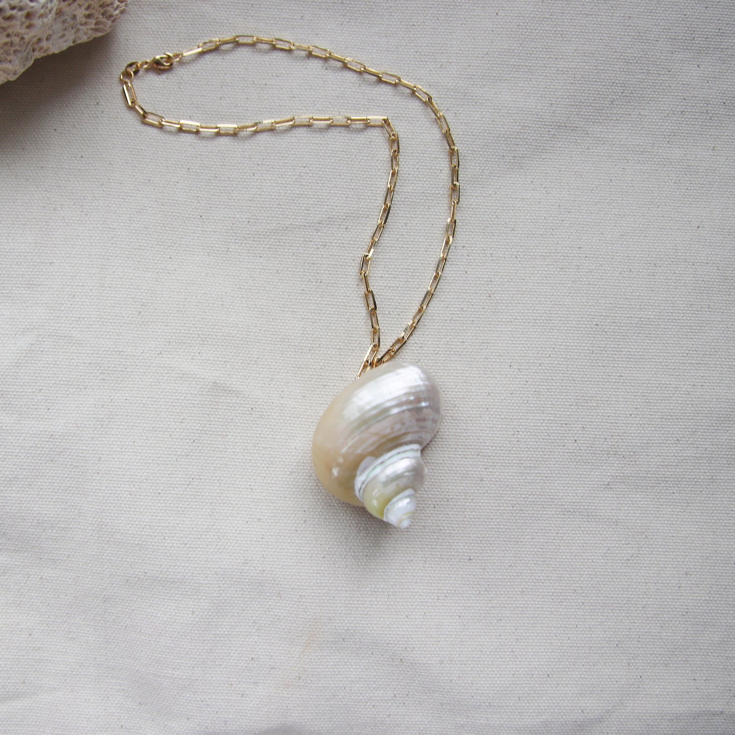 PRE- ORDER Jumbo Shell Necklace