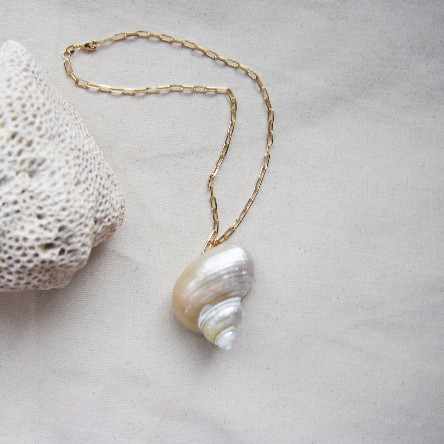 PRE- ORDER Jumbo Shell Necklace