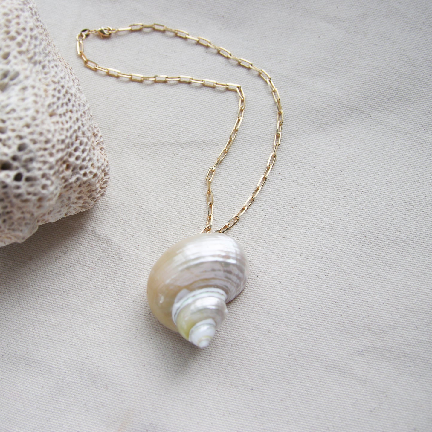 PRE- ORDER Jumbo Shell Necklace
