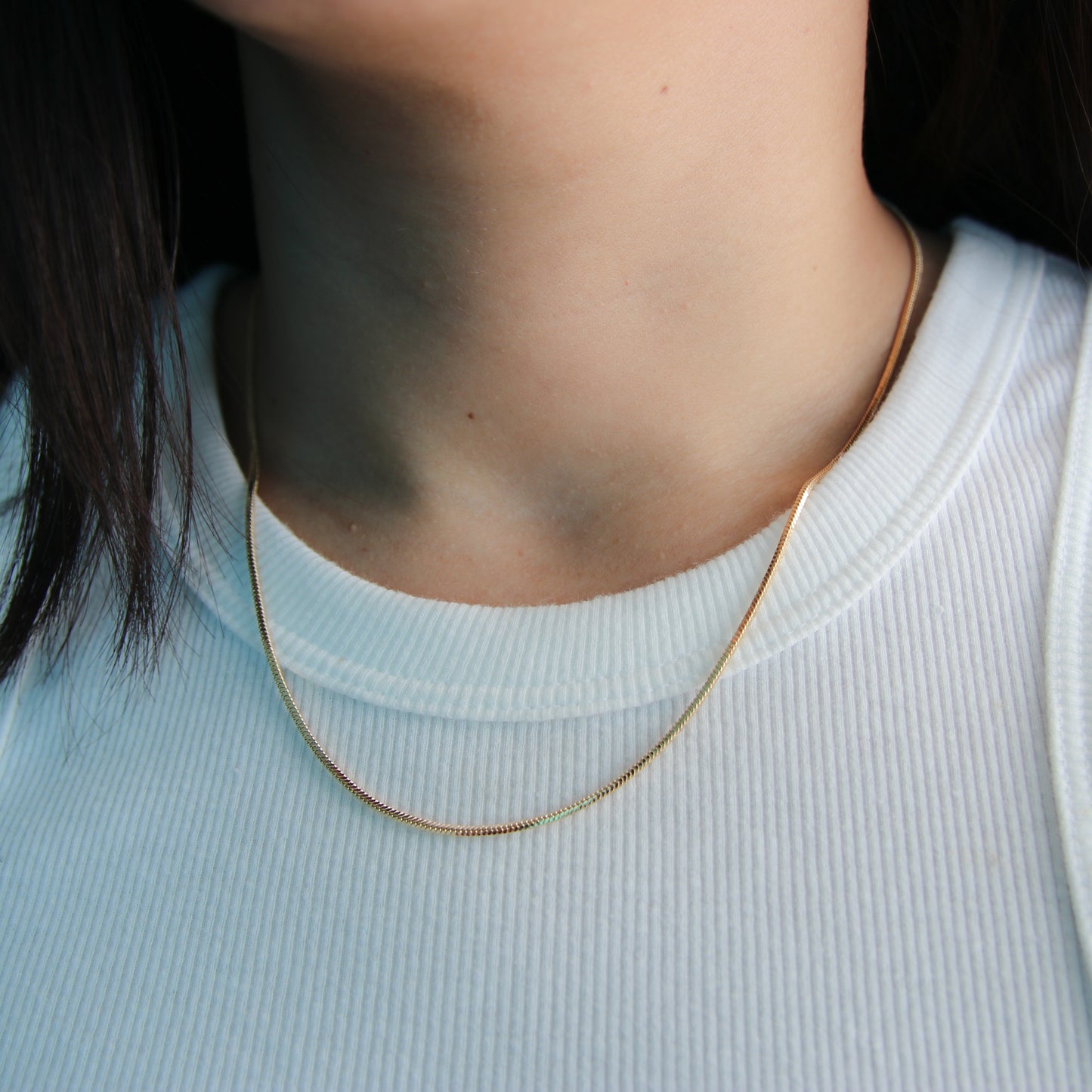 Snake Chain Necklace