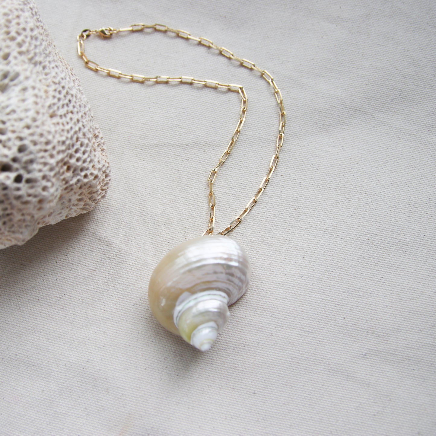 Jumbo Shell Necklace